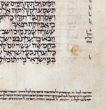 Close look at Hebrew MS